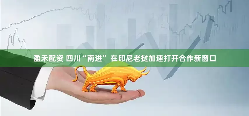 盈禾配资 四川“南进” 在印尼老挝加速打开合作新窗口