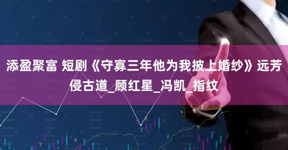 添盈聚富 短剧《守寡三年他为我披上婚纱》远芳侵古道_顾红星_冯凯_指纹