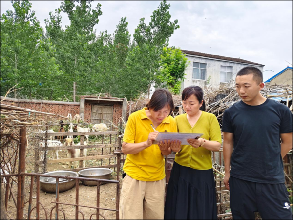 A策略 濉溪县百善镇：扎实开展特色种养业到户项目验收工作_大皖新闻 | 安徽网