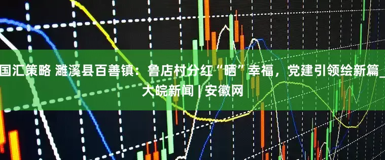国汇策略 濉溪县百善镇：鲁店村分红“晒”幸福，党建引领绘新篇_大皖新闻 | 安徽网