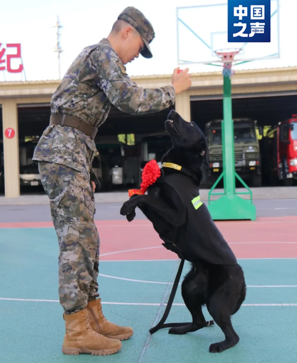 大发配资 “好好吃饭，好好睡觉，不要把别人家拆了”