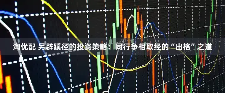 淘优配 另辟蹊径的投资策略：同行争相取经的“出格”之道